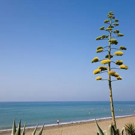 公寓 213 Guadalmansa Playa Heaven Apartrments