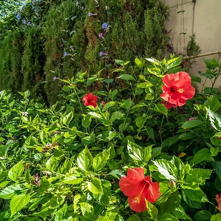 Апартаменты 213 Guadalmansa Playa Heaven Apartrments