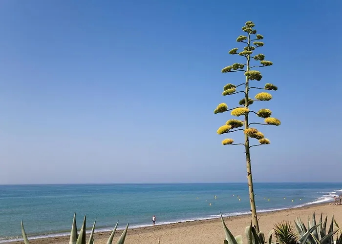 Apartment 213 Guadalmansa Playa Heaven Apartrments