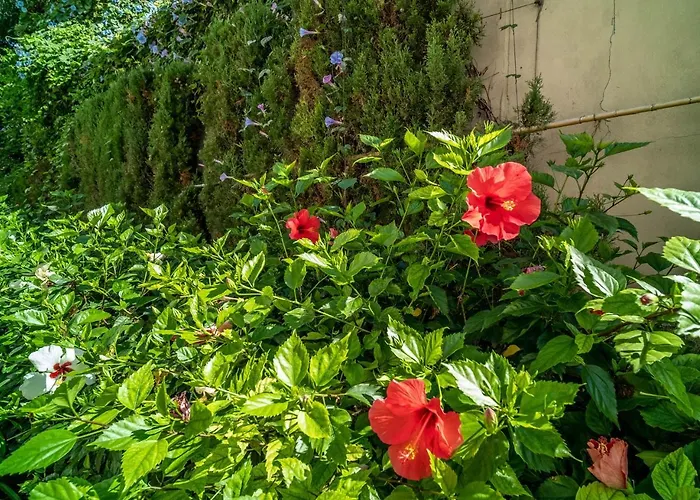 Apartment 213 Guadalmansa Playa Heaven Apartrments